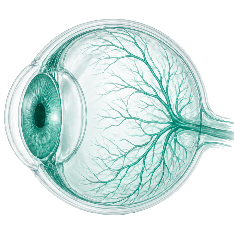 Офтальмология